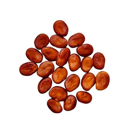 Bondbönor Mellan 25 kg