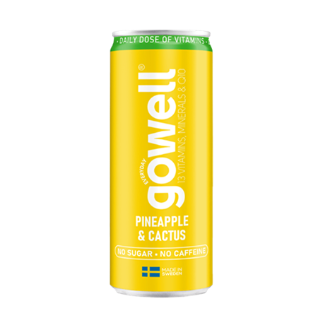Gowell 24x33cl Pineapple&Cactus