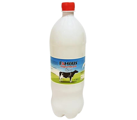 Ayran Famous 6  x 1,5L