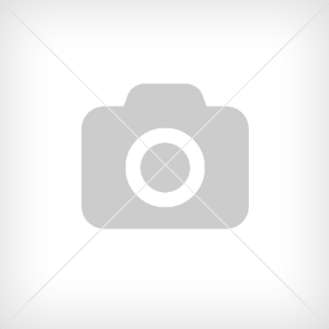 Ananas Torkad skivor 20 x 250g